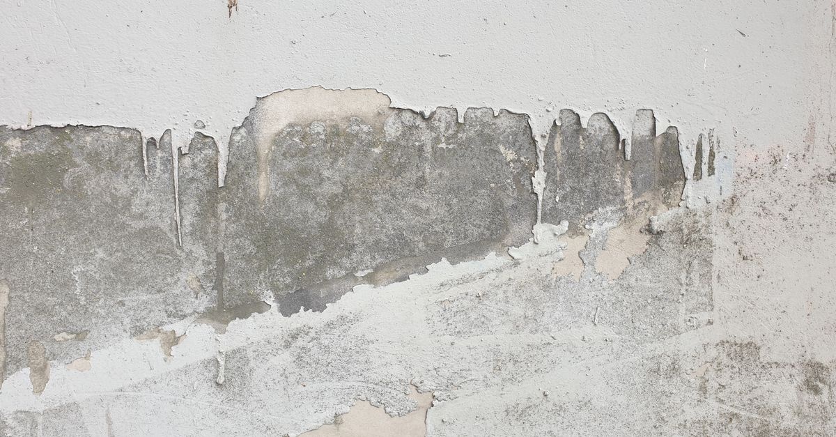 Feuchte Wand? Die Ursache finden und Schimmel dauerhaft vermeiden