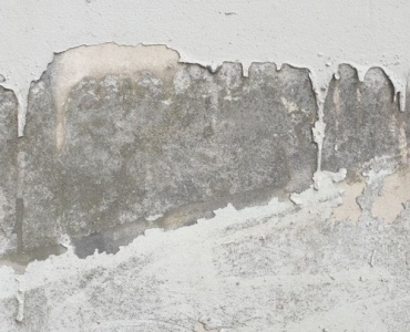 Feuchte Wand? Die Ursache finden und Schimmel dauerhaft vermeiden