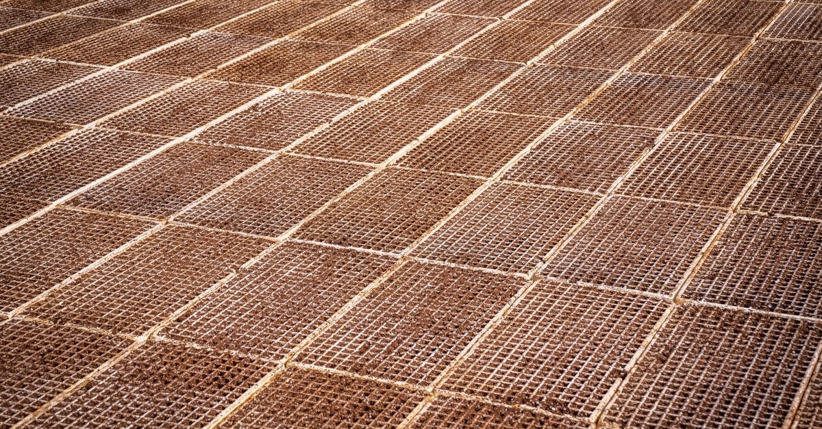 Der perfekte Boden für Feuchträume: Stilvolle Lösungen, die Wasser lieben