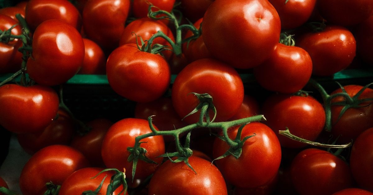 Tomaten richtig ausgeizen: So wachsen deine Pflanzen kräftig und tragen reichlich Früchte