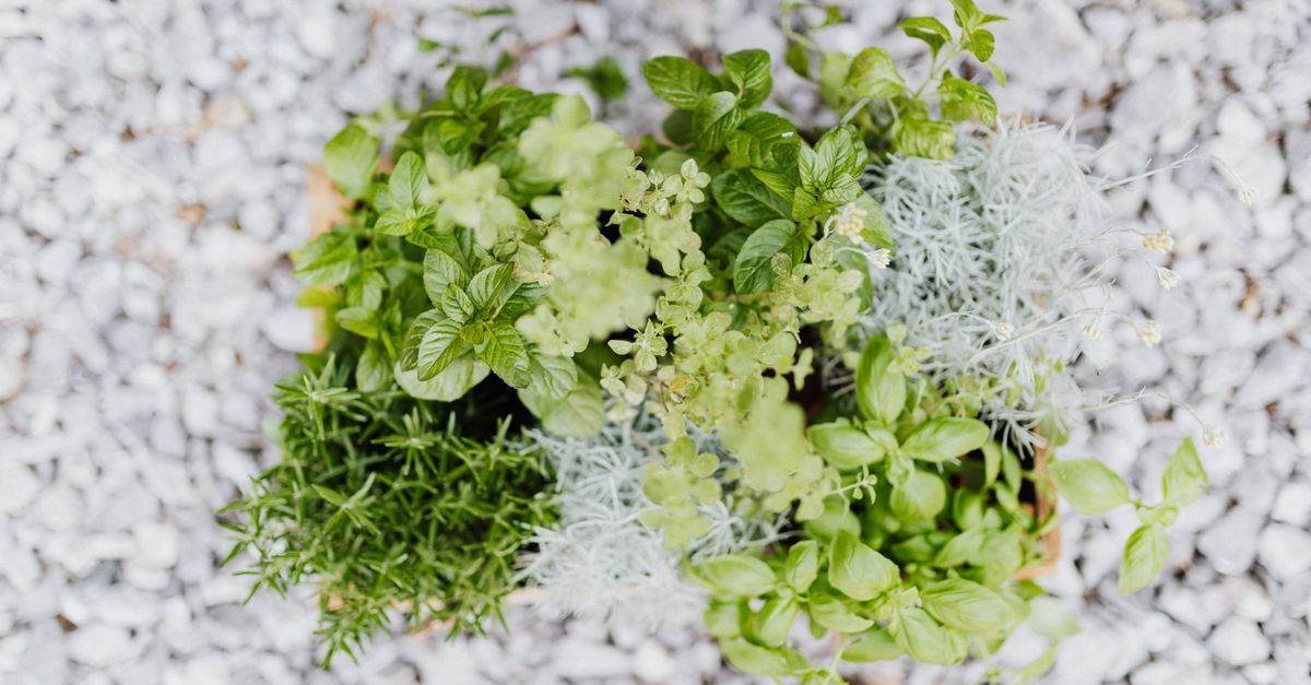 Kräuterspirale richtig bauen: So entsteht Ihr duftendes Kräuterparadies im Garten