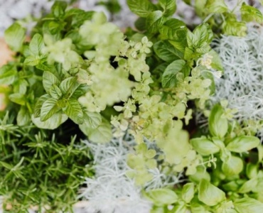 Kräuterspirale richtig bauen: So entsteht Ihr duftendes Kräuterparadies im Garten